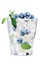 Fizz Recipe