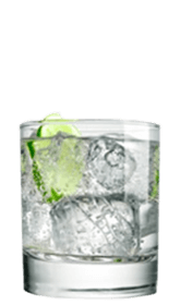 Seltzer & Gin Recipe